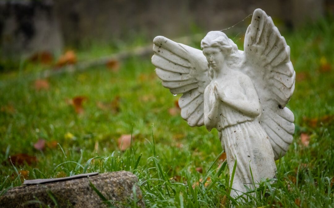 Les oracles des anges : trouver guidance et confort