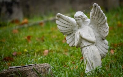 Les oracles des anges : trouver guidance et confort