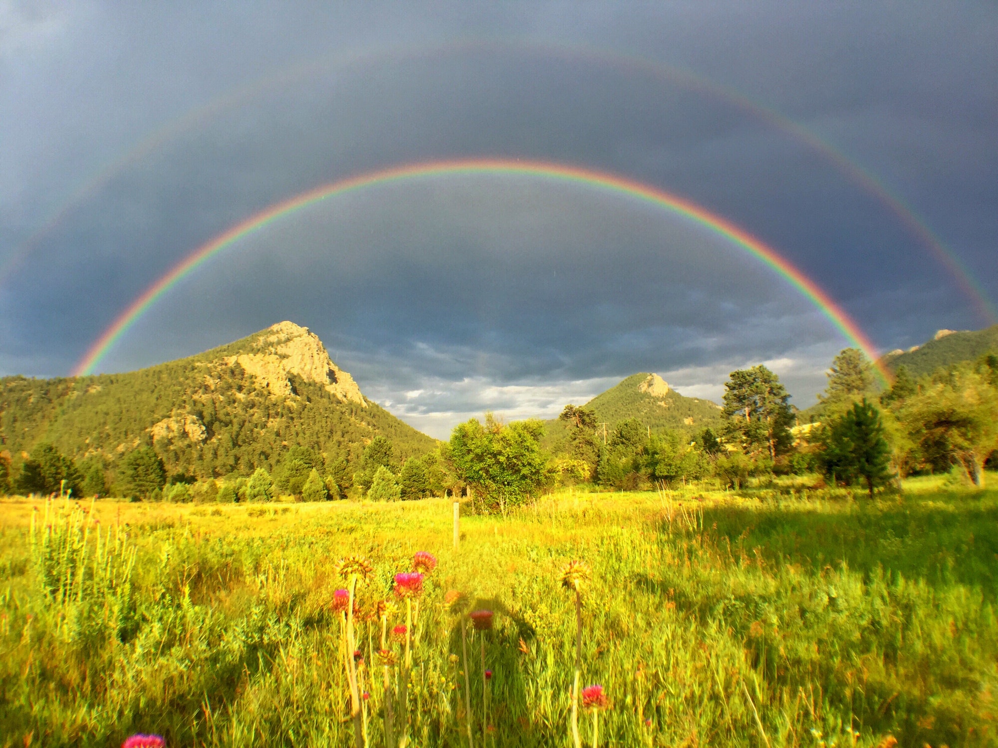 Sunlight, summer field, mountain, and double rainbow